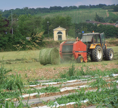 10 ettari di agricoltura biologica